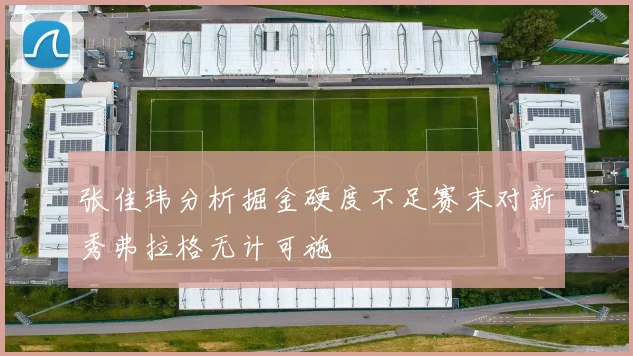 张佳玮分析掘金硬度不足赛末对新秀弗拉格无计可施